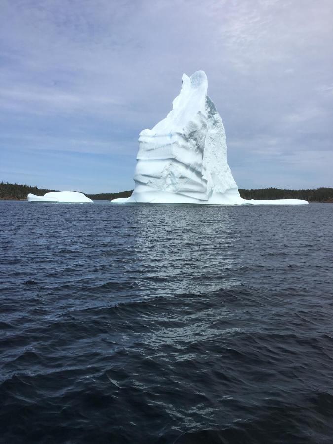 Toulinguet Inn - Suites Twillingate Exteriör bild