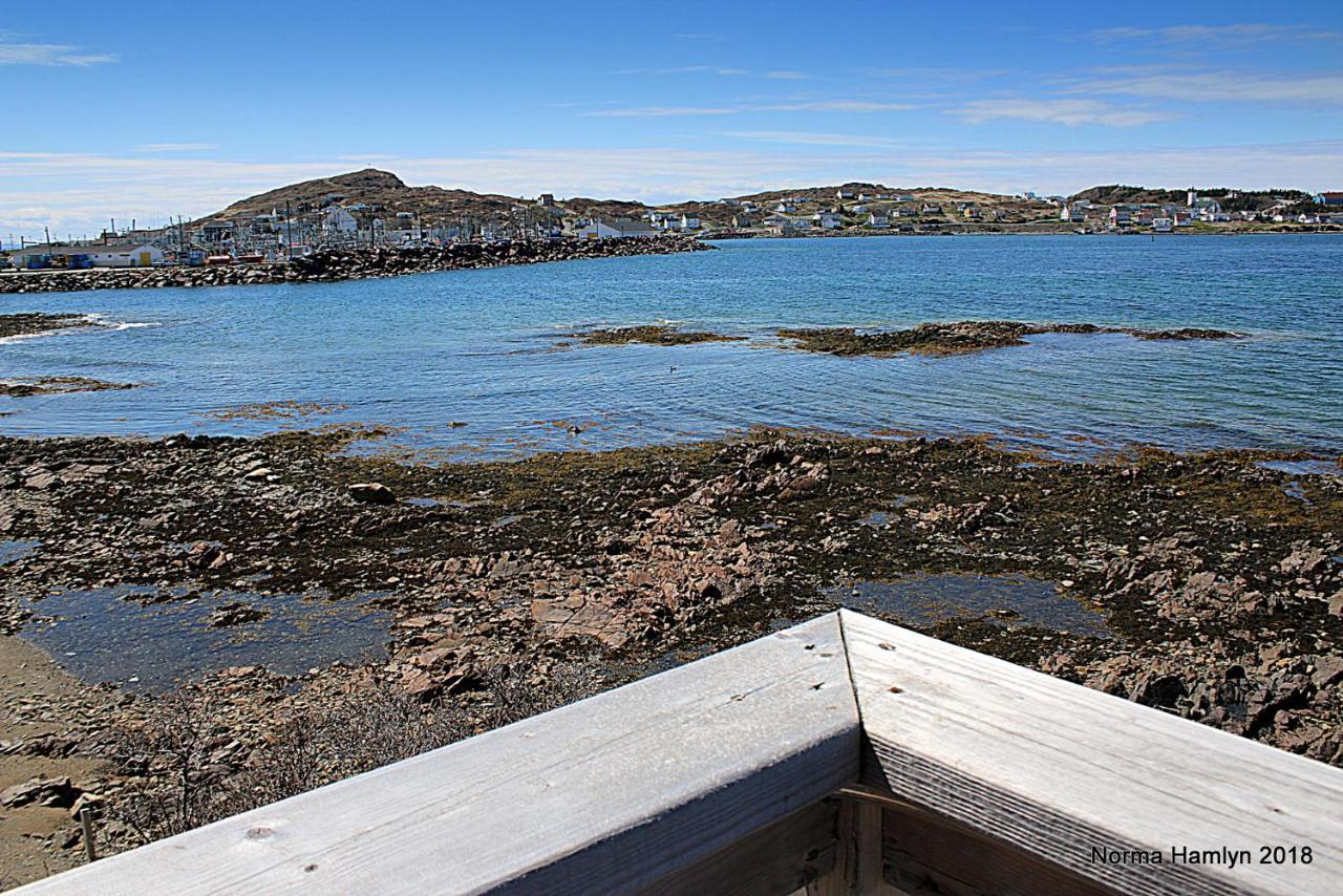 Toulinguet Inn - Suites Twillingate Exteriör bild